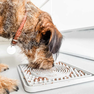 Why Are Lick Mats Good for Dogs?