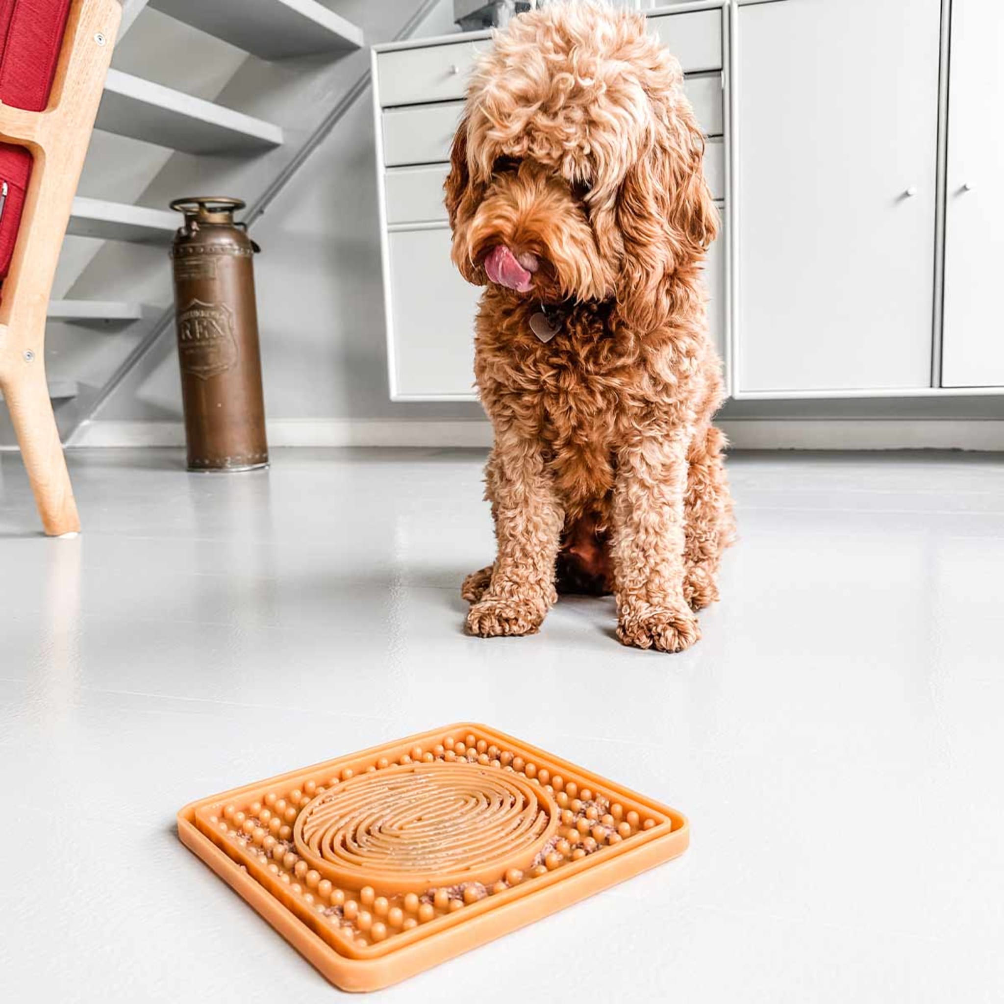 Lick Mat for Dogs (How and When to Use a Lick Mat) 