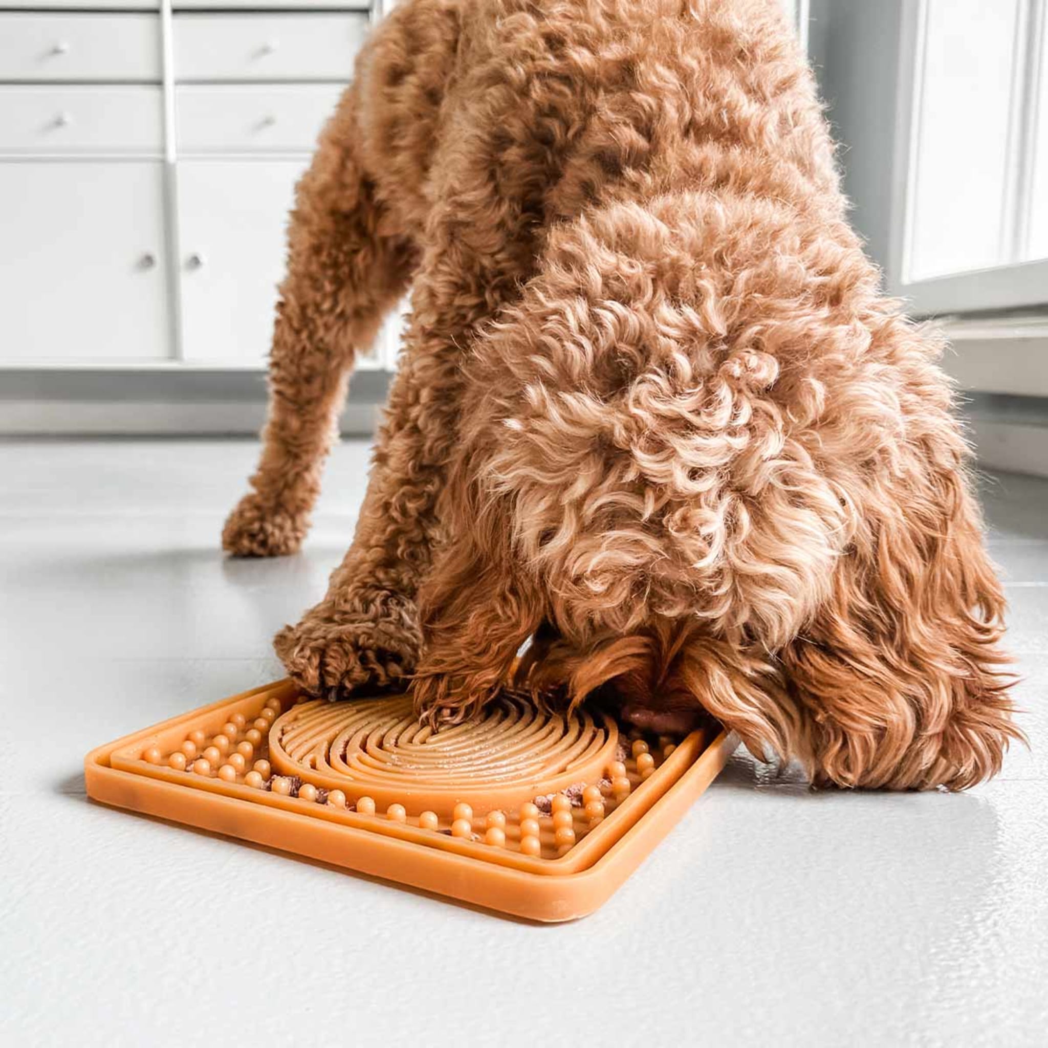 Dog Licking Mat in Natural Rubber –