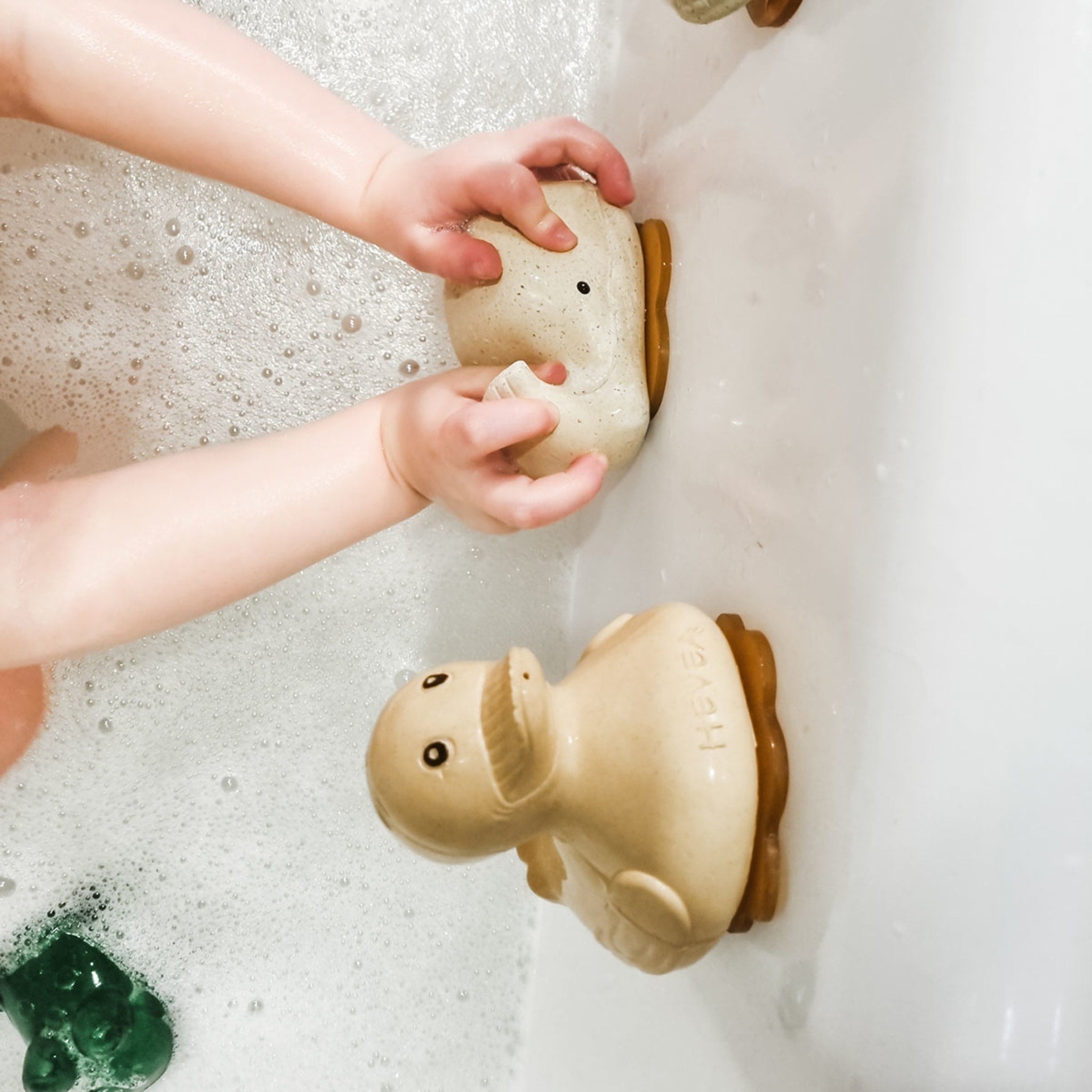 Study Finds Bacteria In Nearly Every Bath Toy